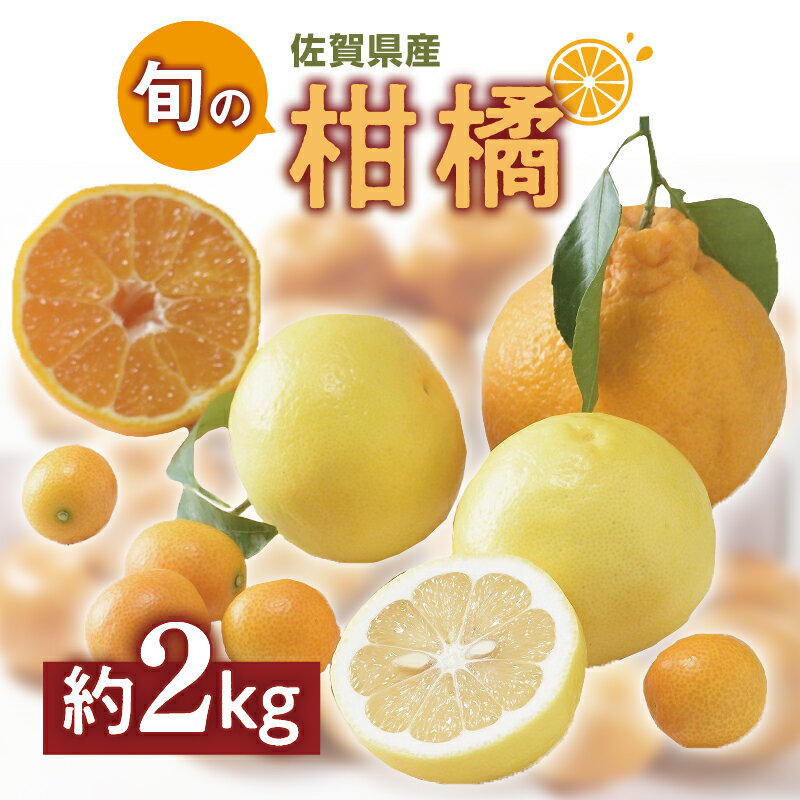 【ふるさと納税】佐賀の旬の柑橘をお届け 佐賀産かんきつ2kg