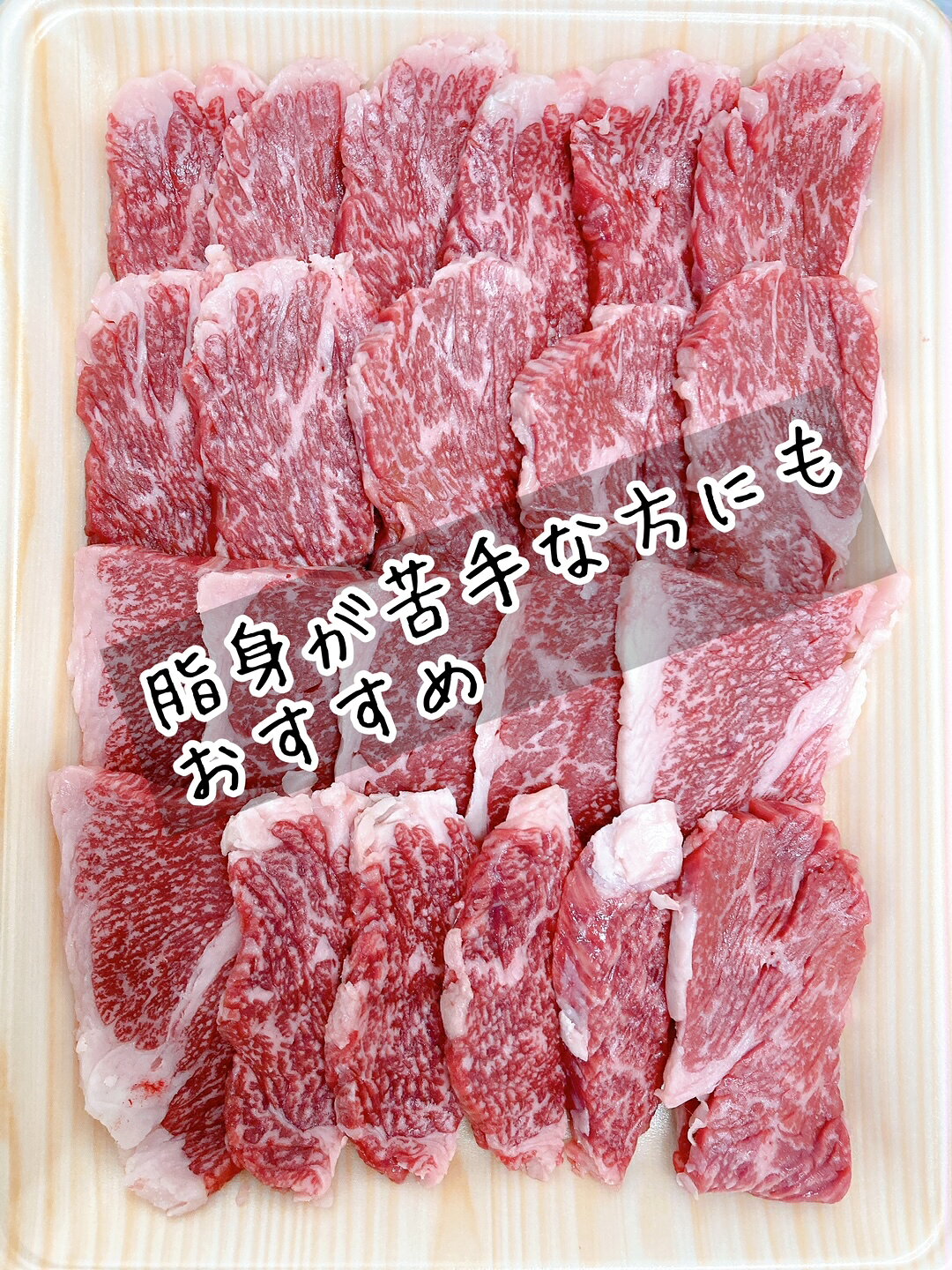 【ふるさと納税】佐賀牛バラ焼肉500g 100-J708 【 ブランド牛 牛肉 A5 A4 焼き肉 ふるさと納税 佐賀牛 国産 和牛 牛 牛バラ 冷凍 】 f412058-imari-10001471 佐賀県伊万里市 サンプル画像2