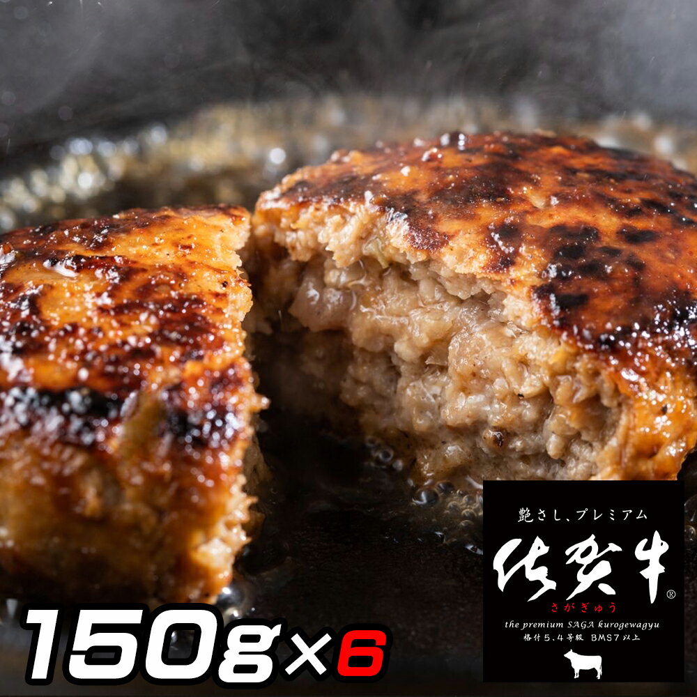 佐賀牛入りがばいハンバーグ150g×6個