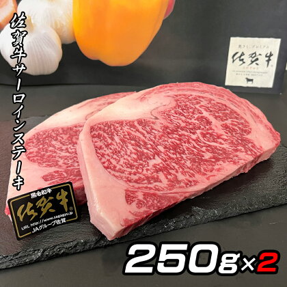 佐賀牛A5サーロインステーキ250g×2枚 J775