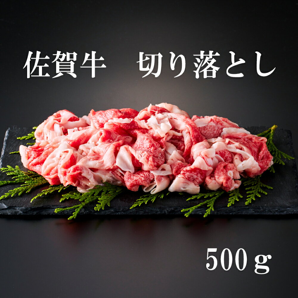 yӂ邳Ɣ[Łzꋍ ؂藎Ƃ 500g J879