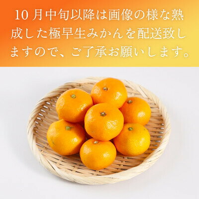 【ふるさと納税】極早生みかん＜内容量が選べる／約2.5kg 約5kg 約7kg 約10kg＞【 果物 柑橘 極早生 みかん 佐賀みかん オレンジ くだもの 国産 ふるさと納税 フルーツ 】 f412058-imari-10001735 佐賀県伊万里市 サンプル画像3