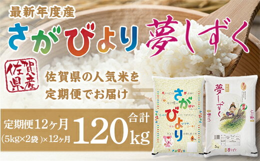 【ふるさと納税】「令和5年産」さがびより夢しずく 定期便 1