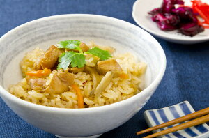 【ふるさと納税】ありたどり 鶏めしのもと 202-C222