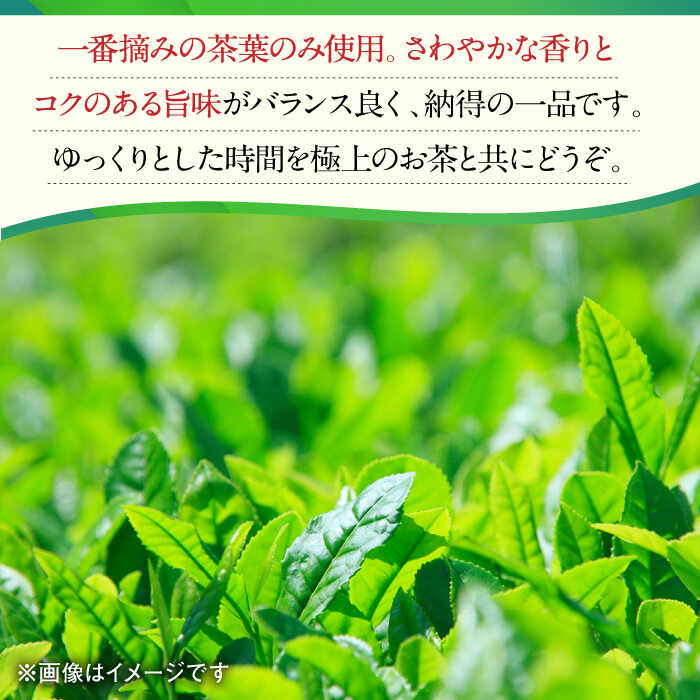 【ふるさと納税】【3回定期便】一番摘み茶葉使用 うれしの茶 2本入（やぶきた 玉門 100g×2本） /お茶の深香園[UAF007]