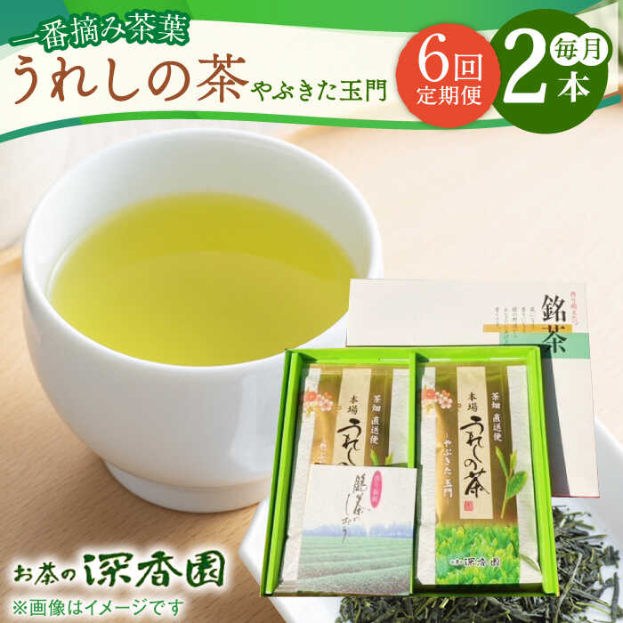 13位! 口コミ数「0件」評価「0」【6回定期便】一番摘み茶葉使用 うれしの茶 2本入（やぶきた 玉門 100g×2本） /お茶の深香園[UAF008]