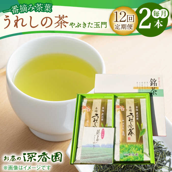 【ふるさと納税】【12回定期便】一番摘み茶葉使用 うれしの茶 2本入（やぶきた 玉門 100g×2本） /お茶の深香園[UAF009]