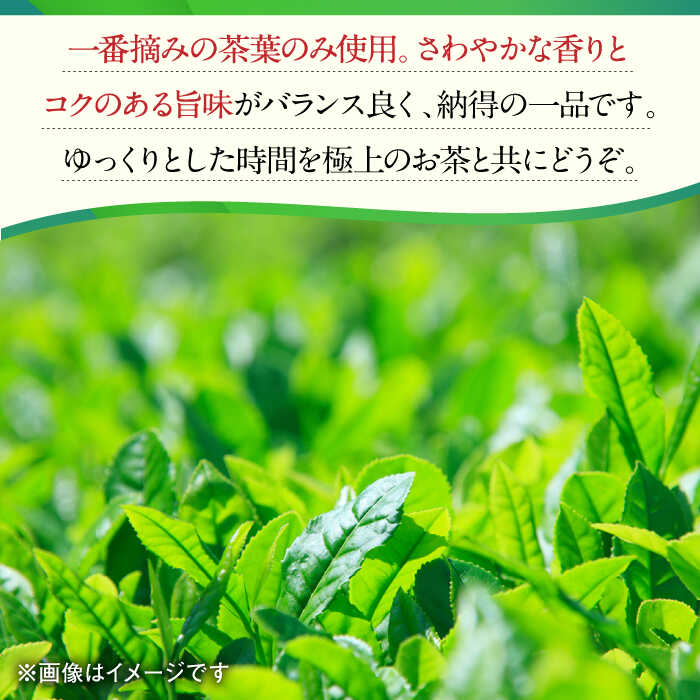 【ふるさと納税】【3回定期便】一番摘み茶葉使用 うれしの茶 3本入（やぶきた 白水 100g×3本） /お茶の深香園[UAF011]