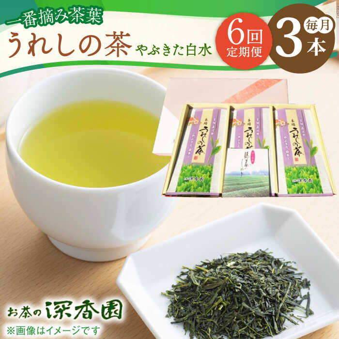 【ふるさと納税】【6回定期便】一番摘み茶葉使用 うれしの茶 3本入（やぶきた 白水 100g×3本） /お茶の深香園[UAF012]