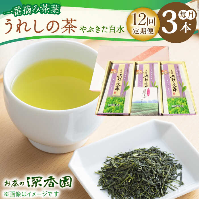 【ふるさと納税】【12回定期便】一番摘み茶葉使用 うれしの茶 3本入（やぶきた 白水 100g×3本） /お茶の深香園[UAF013]