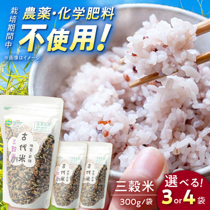 楽天市場】自然栽培 玄米(産地(都道府県)佐賀)の通販 楽天市場】自然栽培 玄米(産地(都道府県)佐賀)の通販