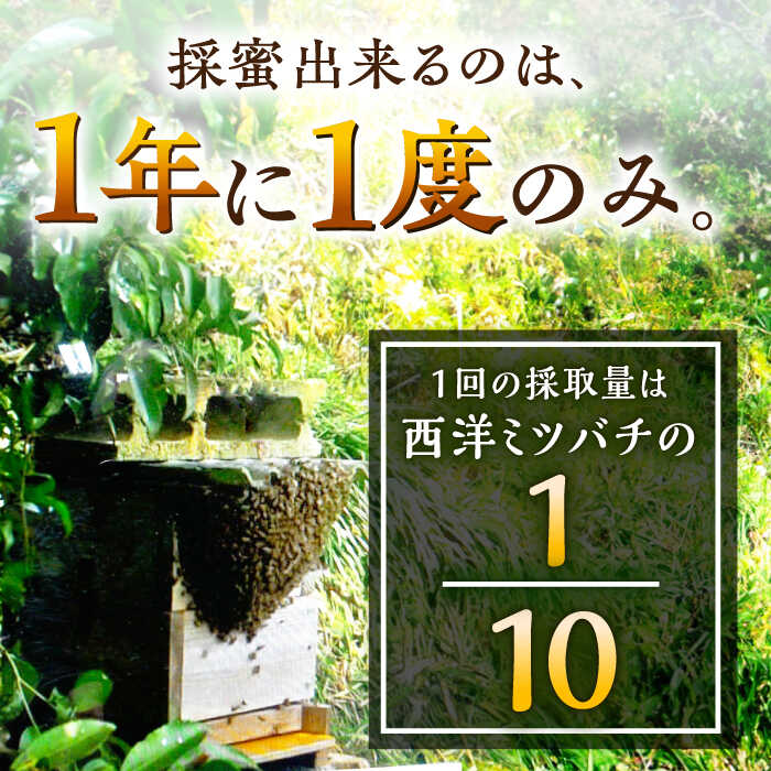 【ふるさと納税】日本蜜蜂 百花 はちみつ 200g 純粋蜂蜜 /永尾忠則 [UAS003]