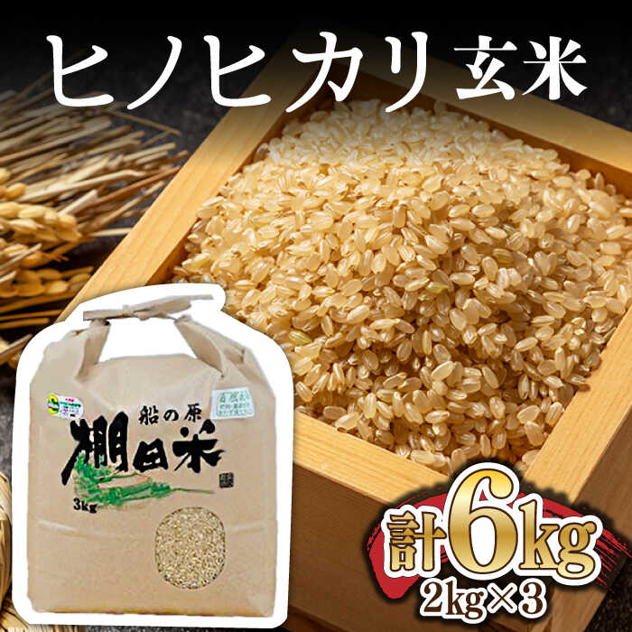 令和5年産 ヒノヒカリ 棚田玄米 6kg（3kg×2袋） 栽培期間中 農薬不使用 /永尾忠則 [UAS006]