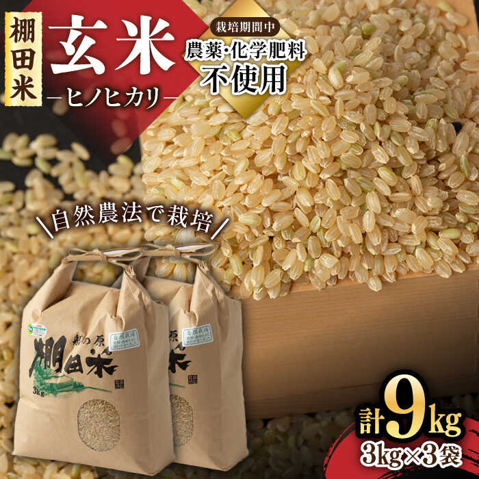 令和5年産 自然農法で育てた 佐賀県産 棚田玄米ヒノヒカリ 9kg(3kg×3袋) /永尾忠則 