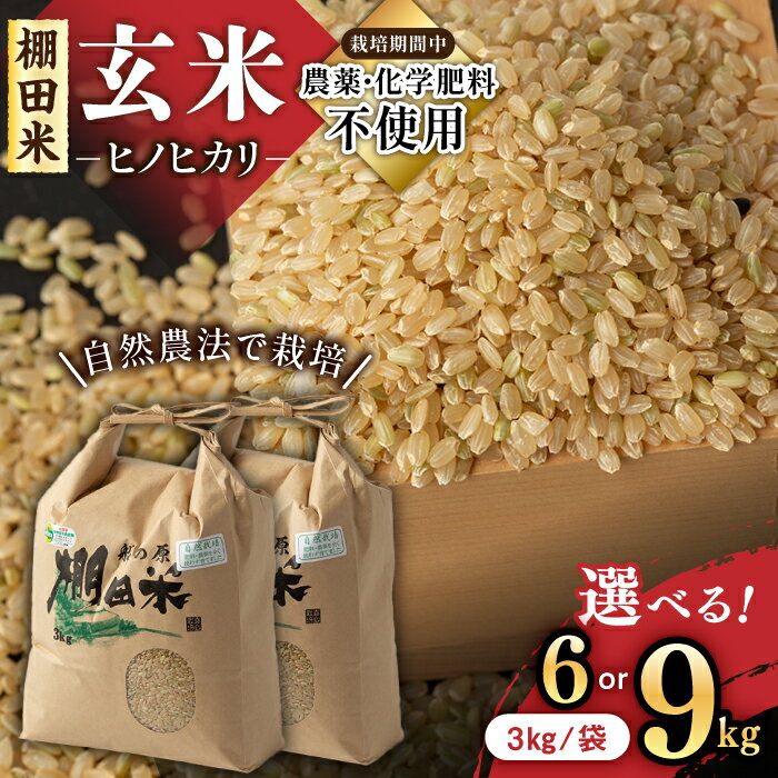 令和5年産 自然農法で育てた 佐賀県産 棚田玄米ヒノヒカリ 9kg（3kg×3袋） /永尾忠則 [UAS007]