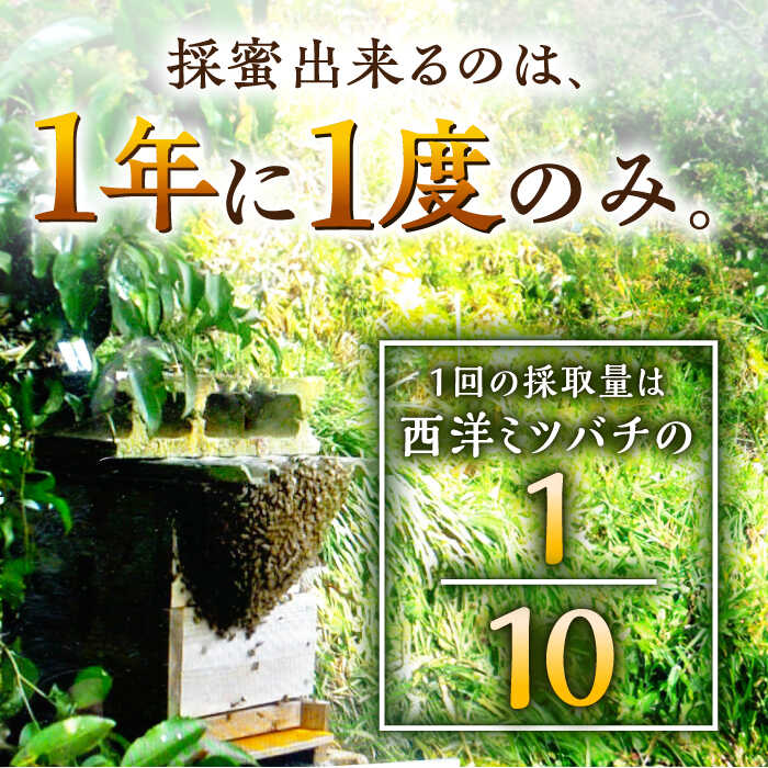 【ふるさと納税】日本蜜蜂 百花 はちみつ 300g /永尾忠則 [UAS009]