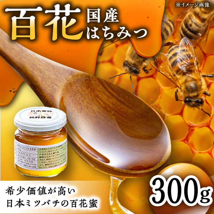 【ふるさと納税】日本蜜蜂 百花 はちみつ 300...の商品画像