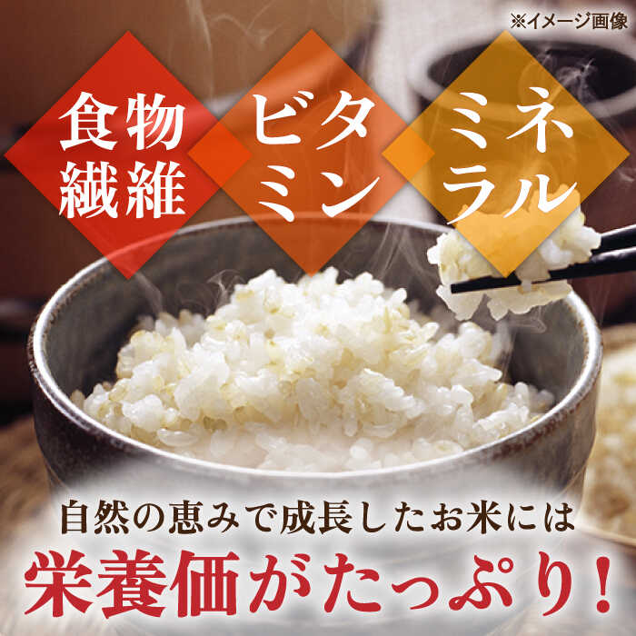 【ふるさと納税】【3回定期便】令和5年産 自然農法で育てた棚田米 ヒノヒカリ 玄米 6kg（3kg×2袋）/永尾 忠則[UAS011]