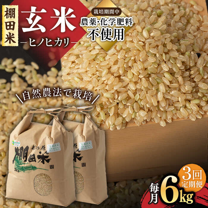 【3回定期便】令和5年産 自然農法で育てた棚田米 ヒノヒカリ 玄米 6kg（3kg×2袋）/永尾 忠則[UAS011]