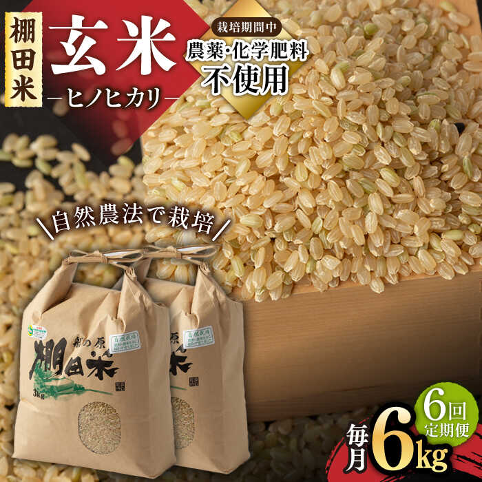 【6回定期便】令和5年産 自然農法で育てた棚田米 ヒノヒカリ 玄米 6kg（3kg×2袋）/永尾 忠則[UAS012]