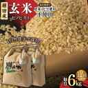 【ふるさと納税】【12回定期便】令和5年産 自然農法で育てた棚田米 ヒノヒカリ 玄米 6kg（3kg×2袋）/永尾 忠則[UAS013]