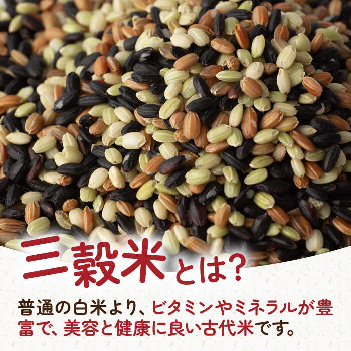 【ふるさと納税】【6回定期便】自然農法で育てた 三穀米 1.2kg（300g×4袋）/永尾 忠則[UAS015]