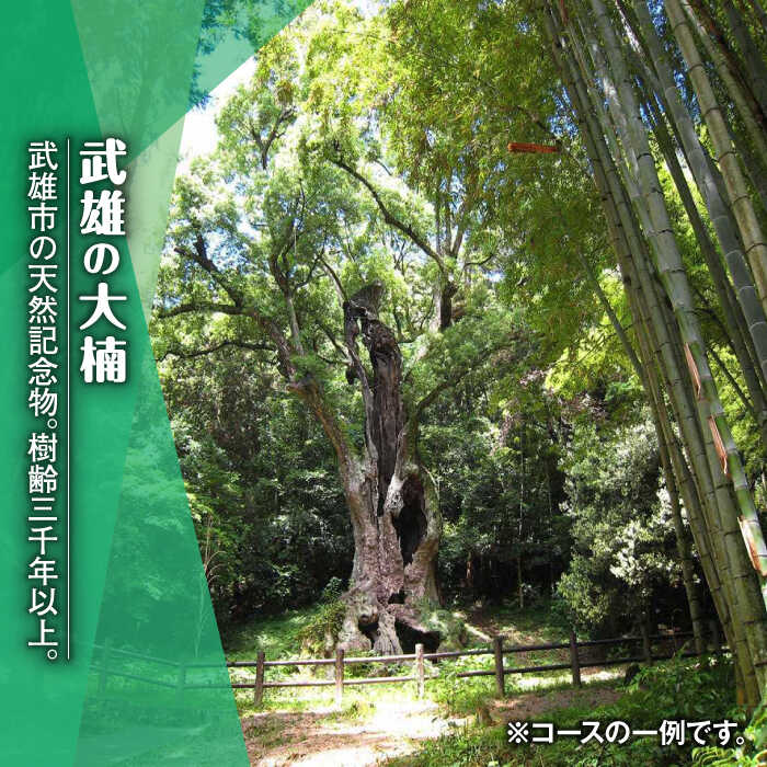 【ふるさと納税】貸切タクシーで武雄市観光 ハイグレード仕様 タクシー 武雄市内 観光 （3時間）コース観光券 /温泉タクシー [UAT004]その2