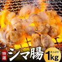 【ふるさと納税】佐賀県産 和牛 ホルモン 特選 シマ腸 1kg /愛まんてん [UBD002]