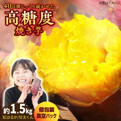 紅はるか（甘太くん）焼き芋 約1.5kg /愛まんてん[UBD008]