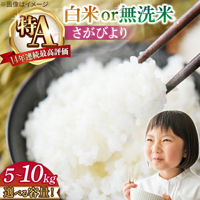 14年連続特A評価 令和5年産 さがびより 白米 10kg /江口農園 [UBF004]