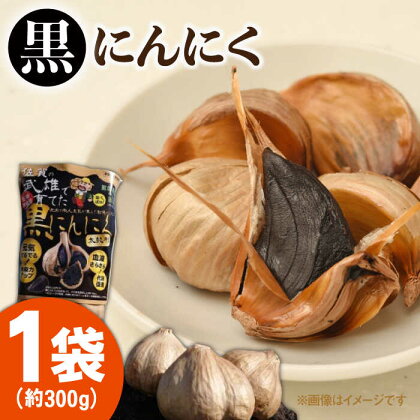 武雄で育てた黒にんにく 約300g /江口農園 [UBF005]