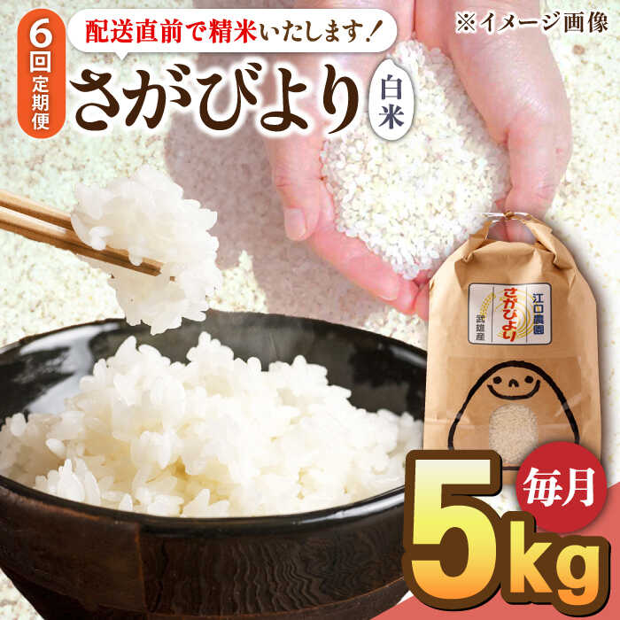 [6回定期便]令和5年産 さがびより 5kg[14年連続特A評価] 配送前精米/江口農園 