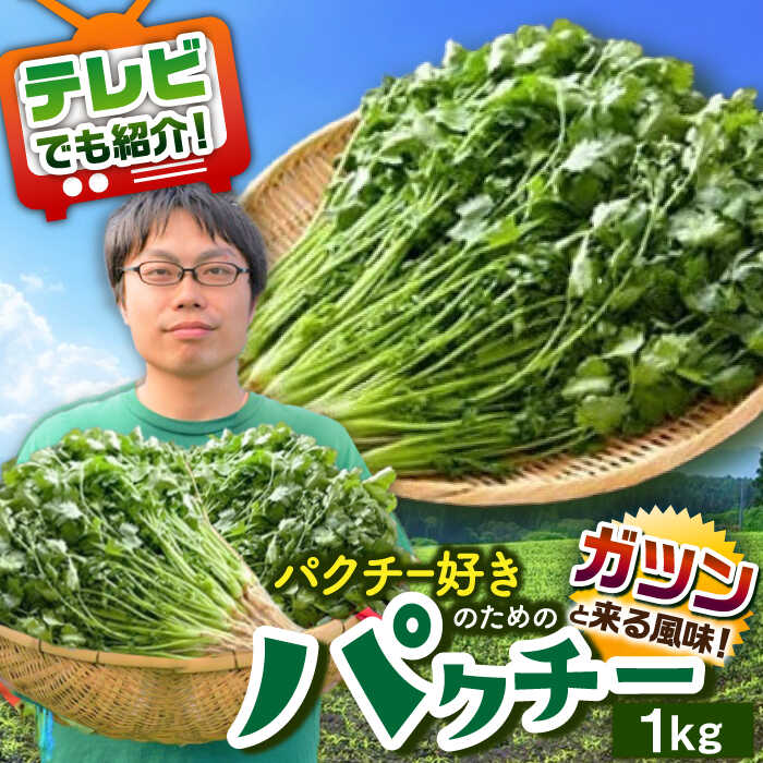 その他野菜(パクチー・コリアンダー)人気ランク1位　口コミ数「0件」評価「0」「【ふるさと納税】＜満天☆青空レストランでご紹介＞パクチー好きのためのパクチー 1kg /江口農園 [UBF009]」