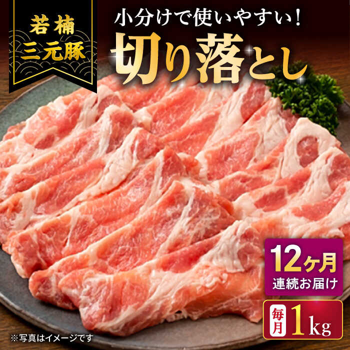 【ふるさと納税】【12回定期便】若楠三元豚 切り落とし 1kg（250g×4パック）/ナチュラルフーズ[UBH076]