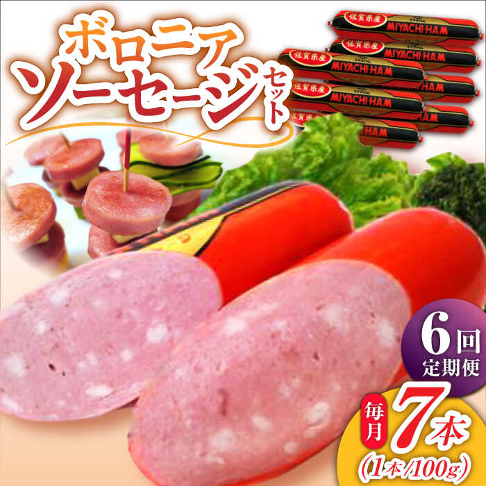 佐賀県産豚肉を原料として、細かく挽いた肉にオニオン、ガーリックなどのスパイスを加え、作り上げたソーセージです。 薄く切って生のままで、サラダに入れたり、少し厚めにスライスして、カリッと焼いても美味しく頂けます。 ■ボロニアソーセージとは 北イタリアのボローニャ地方の名前が付いたソーセージです。 太い筒状のソーセージで、生地の中に大きめに刻んだ脂身が入っているのが特徴です。 ■おすすめの調理法 ・生でそのまま お酒のおつまみにぴったりです。 スライスの厚さによって食感が変化するため、様々な厚さで違う食感を楽しめます。 ・加熱して どの加熱法でもおいしく召し上がれます。 輪切りやいちょう切りなど様々な食感でたのしめるのもボロニアソーセージの特徴。 スライスの厚さのほかにも切り方で楽しみ方を変えてみてください。 ■おすすめレシピ ・カリッと焼いて朝食やお弁当に ・薄く切ってサラダに ・チーズと一緒にボロニアソーセージカツ ・ホットサンドに ■宮地ハムの想い 1948年創業の宮地ハム。食べていただくみなさまに心から喜んでいただくため、素材と製法にこだわっています。 ハムやソーセージの美味しさは、なんといっても美味しい『豚肉』があってこそ。 宮地ハムでは素材にこだわり、地元・武雄市若木町のブランド豚である「若楠ポーク」をはじめとした、緑豊かで清らかな水と安全な飼料で大切に育てられた九州産の豚肉を主な原料に使用しています。 また、原料となる豚肉は、1頭1頭の脂のつき方や赤身の入り方が違います。その個性を宮地ハムの職人が見極め、丁寧に手作業で各部位毎にカット。 商品ごとに最適な材料を厳選し、商品ごとに熟成期間も変え、素材の旨味を充分に生かしたハムやソーセージを作っています。 そして、発送の準備をさせていただく時も、丁寧に真心込めて包装・発送しています。 大切な人への贈り物として。大切な人との素敵な時間を彩る一品として。職人が丹精込めて造り上げた商品を、ぜひお楽しみください。 下記内容を1ヶ月に1回、計6回お届けします。 ・ボロニアソーセージ（小）100g×7本 【賞味期限】お届けから冷蔵で約40日 【原料原産地】 佐賀県産 【加工地】 武雄市 ソーセージ 豚肉 豚 豚加工品 ボローニャソーセージ 定期 地場産品基準該当理由 原料整形から包装まで、市内の工場で行っている。佐賀県産豚肉を原料として、細かく挽いた肉にオニオン、ガーリックなどのスパイスを加え、作り上げたソーセージです。 薄く切って生のままで、サラダに入れたり、少し厚めにスライスして、カリッと焼いても美味しく頂けます。 ■ボロニアソーセージとは 北イタリアのボローニャ地方の名前が付いたソーセージです。 太い筒状のソーセージで、生地の中に大きめに刻んだ脂身が入っているのが特徴です。 ■おすすめの調理法 ・生でそのまま お酒のおつまみにぴったりです。 スライスの厚さによって食感が変化するため、様々な厚さで違う食感を楽しめます。 ・加熱して どの加熱法でもおいしく召し上がれます。 輪切りやいちょう切りなど様々な食感でたのしめるのもボロニアソーセージの特徴。 スライスの厚さのほかにも切り方で楽しみ方を変えてみてください。 ■おすすめレシピ ・カリッと焼いて朝食やお弁当に ・薄く切ってサラダに ・チーズと一緒にボロニアソーセージカツ ・ホットサンドに ■宮地ハムの想い 1948年創業の宮地ハム。食べていただくみなさまに心から喜んでいただくため、素材と製法にこだわっています。 ハムやソーセージの美味しさは、なんといっても美味しい『豚肉』があってこそ。 宮地ハムでは素材にこだわり、地元・武雄市若木町のブランド豚である「若楠ポーク」をはじめとした、緑豊かで清らかな水と安全な飼料で大切に育てられた九州産の豚肉を主な原料に使用しています。 また、原料となる豚肉は、1頭1頭の脂のつき方や赤身の入り方が違います。その個性を宮地ハムの職人が見極め、丁寧に手作業で各部位毎にカット。 商品ごとに最適な材料を厳選し、商品ごとに熟成期間も変え、素材の旨味を充分に生かしたハムやソーセージを作っています。 そして、発送の準備をさせていただく時も、丁寧に真心込めて包装・発送しています。 大切な人への贈り物として。大切な人との素敵な時間を彩る一品として。職人が丹精込めて造り上げた商品を、ぜひお楽しみください。 商品説明 名称【6回定期便】ボロニアソーセージ 100g×7本 内容量下記内容を1ヶ月に1回、計6回お届けします。 ・ボロニアソーセージ（小）100g×7本 原料原産地佐賀県産 加工地武雄市 賞味期限お届けから冷蔵で約40日 アレルギー表示含んでいる品目：乳・豚肉・大豆 配送方法冷蔵 配送期日ご入金の翌月より、毎月お届けします。 提供事業者宮地ハム株式会社 ソーセージ 豚肉 豚 豚加工品 ボローニャソーセージ 定期 地場産品基準該当理由 原料整形から包装まで、市内の工場で行っている。 ■ こちらもおすすめです♪ 宮地ハムのロングセラー ボロニアソーセージ 100g×7本 /宮地ハム 【3回定期便】宮地ハムのロングセラー ボロニアソーセージ 100g×7本 /宮地ハム 【6回定期便】宮地ハムのロングセラー ボロニアソーセージ 100g×7本 /宮地ハム 【12回定期便】宮地ハムのロングセラー ボロニアソーセージ 100g×7本 /宮地ハム ロースハム 詰合せ 計950g ロースハム 焼豚 プレスハム /宮地ハム 【月間10箱限定】宮地ハム こだわり ロースハム 約2kg（桐箱入） /宮地ハム 【5回定期便】 宮地ハム こだわりロースハムとお楽しみセット 総計9.6kg 詰め合わせ ベーコン ソーセージ 焼豚 /宮地ハム 佐賀県産 若楠ポーク スライスセット 1kg 肩ロース 下ロース バラ /宮地ハム 佐賀産 三元豚 スライス 2種 セット 計3kg バラ 肩ロース /宮地ハム 佐賀産 三元豚 スライス 3種 セット 計4kg モモ ウデ 肩ロース /宮地ハム