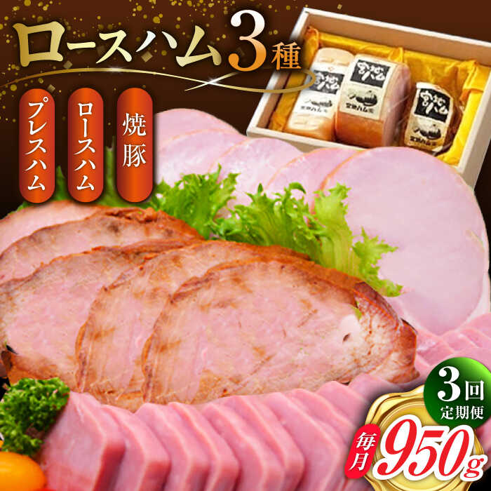 [3回定期便]ロースハム詰合せ 計950g(ロースハム 焼豚 プレスハム)/宮地ハム