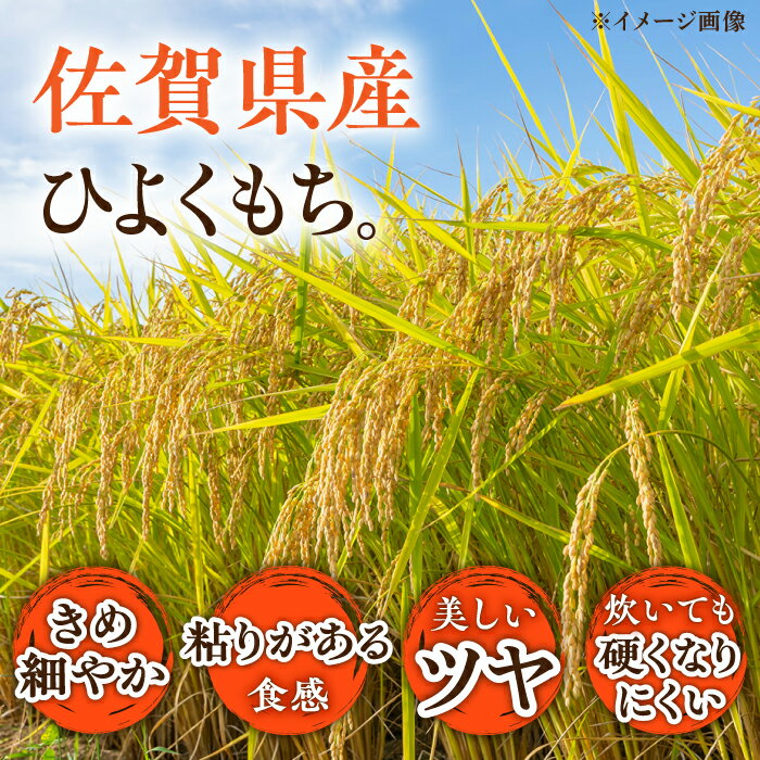 【ふるさと納税】令和5年産 大楠水車米 ひよくもち もち米 5kg /若木町まちづくり推進協議会 [UBY004]