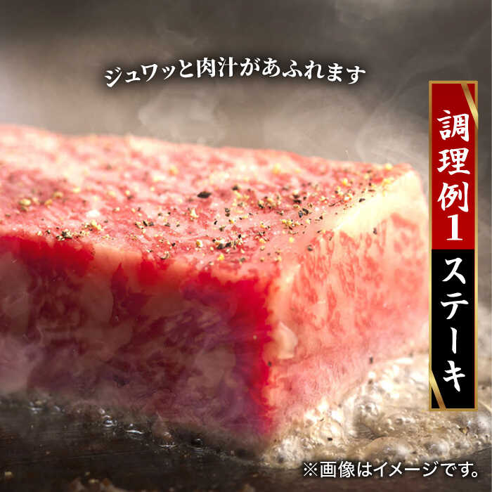 【ふるさと納税】【全12回】 A5ランク 佐賀牛 高級 霜降り 食べ比べ 定期便 約2-3人前 総計5.52kg 30万 最高級 黒毛和牛 牛肉 武雄市 焼肉どすこい [UCC005]