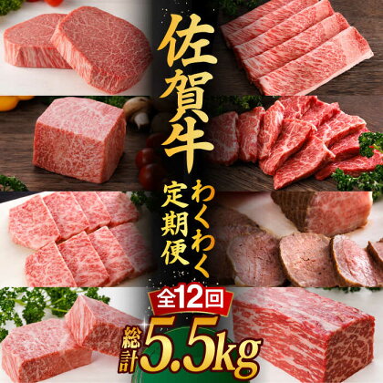 【全12回】 A5ランク 佐賀牛 高級 霜降り 食べ比べ 定期便 約2-3人前 総計5.52kg 30万 最高級 黒毛和牛 牛肉 武雄市 焼肉どすこい [UCC005]