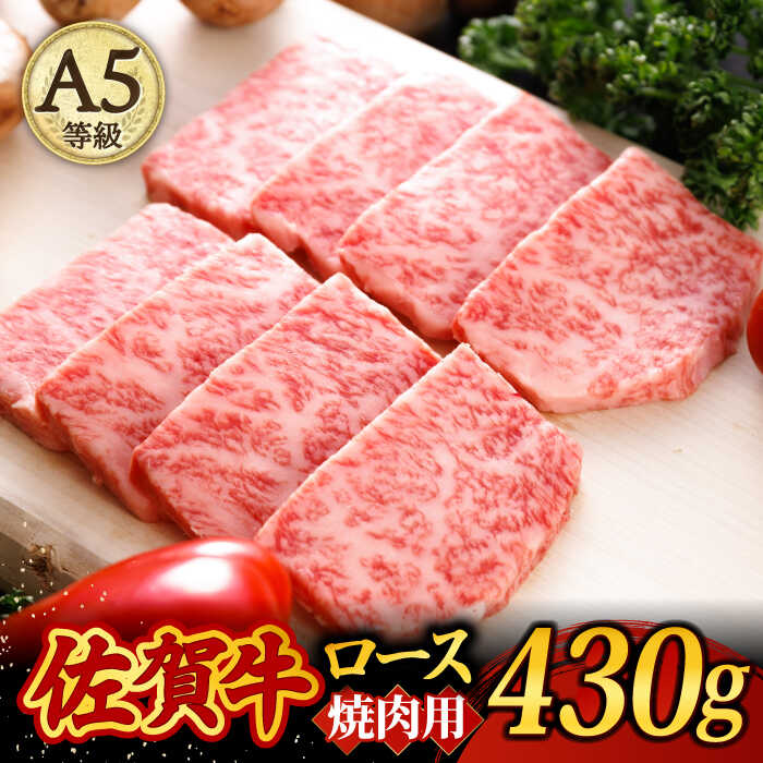 A5ランク 佐賀牛 高級 霜降り 焼肉用 ロース 430g 2人前 /焼肉どすこい [UCC014]