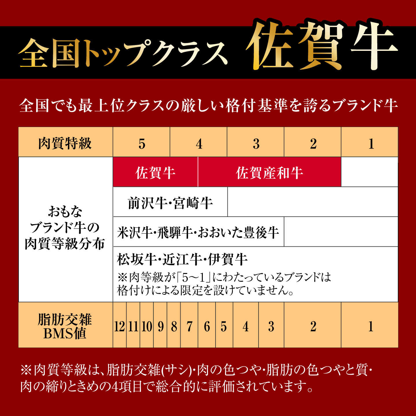 【ふるさと納税】A4 A5等級 佐賀牛 ヒレステーキ 400g（200g×2枚） /焼肉どすこい[UCC031] f412066-takeo-10001680 佐賀県武雄市 サンプル画像3