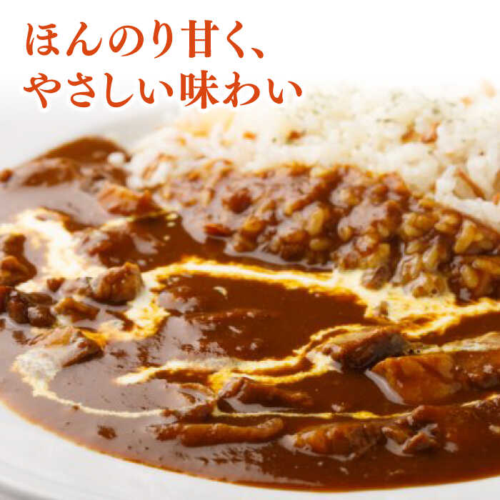 【ふるさと納税】プルミエ 熟成 カレー 180g×4袋 冷凍 /フレンチキッチン プルミエ [UCF002] カレー 冷凍カレー 熟成カレー 個包装 f412066-takeo-10000783 佐賀県武雄市 サンプル画像2