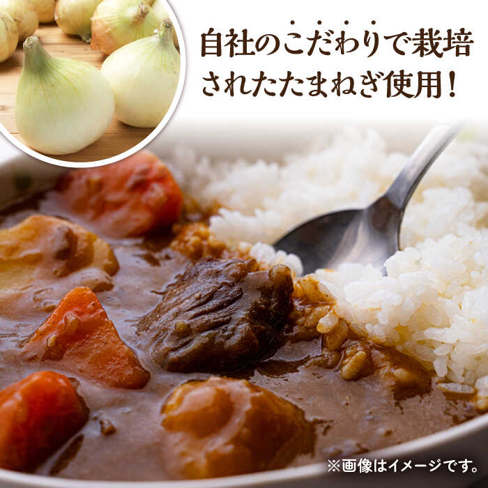 【ふるさと納税】【3回定期便】薬膳スパイスチキンカレー 4食（200g×4） /自然庵 [UCQ004]