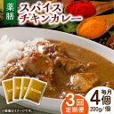 14位! 口コミ数「0件」評価「0」【3回定期便】薬膳スパイスチキンカレー 4食（200g×4） /自然庵 [UCQ004]