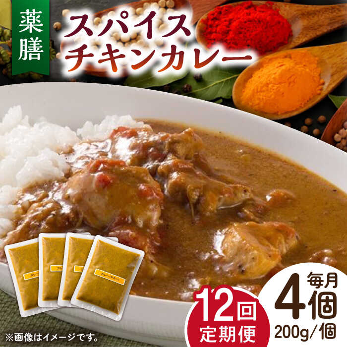 18位! 口コミ数「0件」評価「0」【12回定期便】薬膳スパイスチキンカレー 4食（200g×4） /自然庵 [UCQ006]