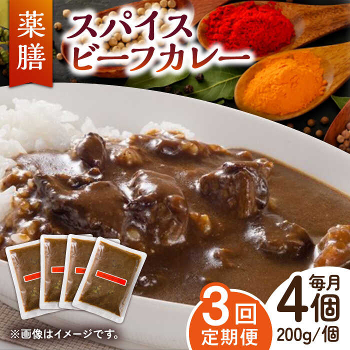 [3回定期便]薬膳スパイスビーフカレー 4食(200g×4) /自然庵 