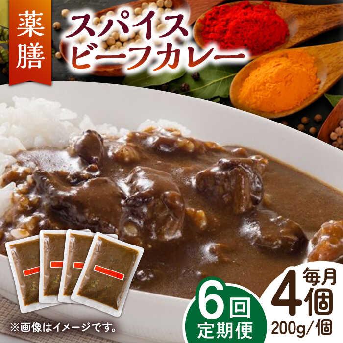 17位! 口コミ数「0件」評価「0」【6回定期便】薬膳スパイスビーフカレー 4食（200g×4） /自然庵 [UCQ008]