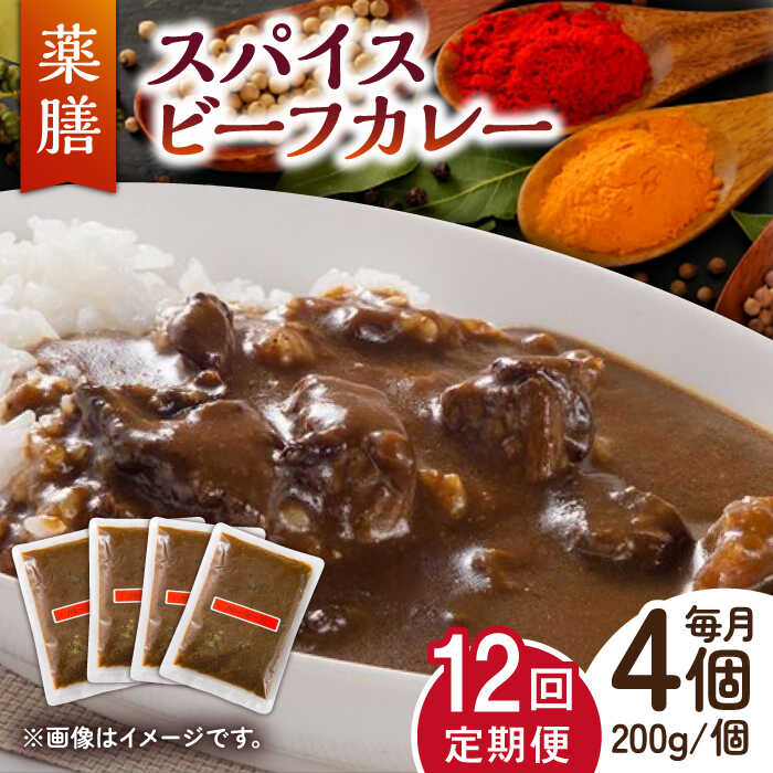 21位! 口コミ数「0件」評価「0」【12回定期便】薬膳スパイスビーフカレー 4食（200g×4） /自然庵 [UCQ009]