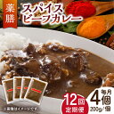 18位! 口コミ数「0件」評価「0」【12回定期便】薬膳スパイスビーフカレー 4食（200g×4） /自然庵 [UCQ009]