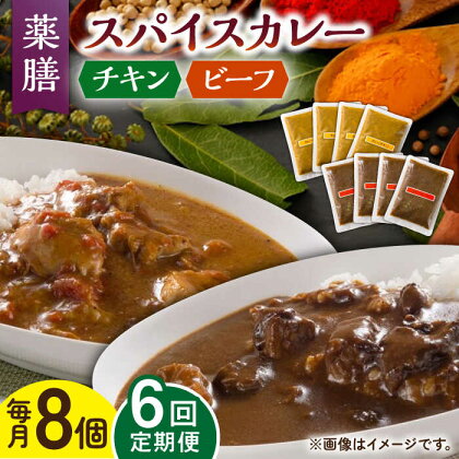 【6回定期便】薬膳スパイスカレー ファミリーセット（チキンカレー 4食 ビーフカレー 4食） /自然庵 [UCQ011]